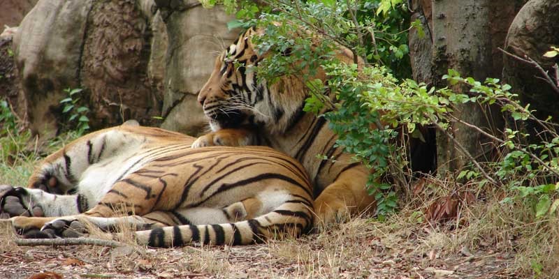 casitodaslasletras06052014 casitodaslasletras06052014