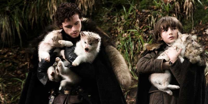 casitodaslasletras08062014