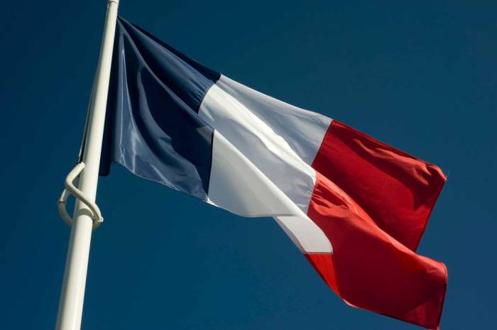 french-flag
