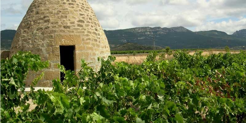 casitodaslasletras29022016