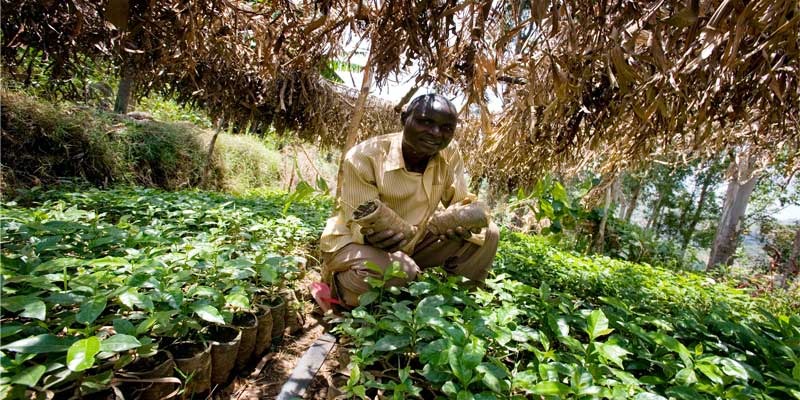 casitodaslasletras15042016 casitodaslasletras15042016