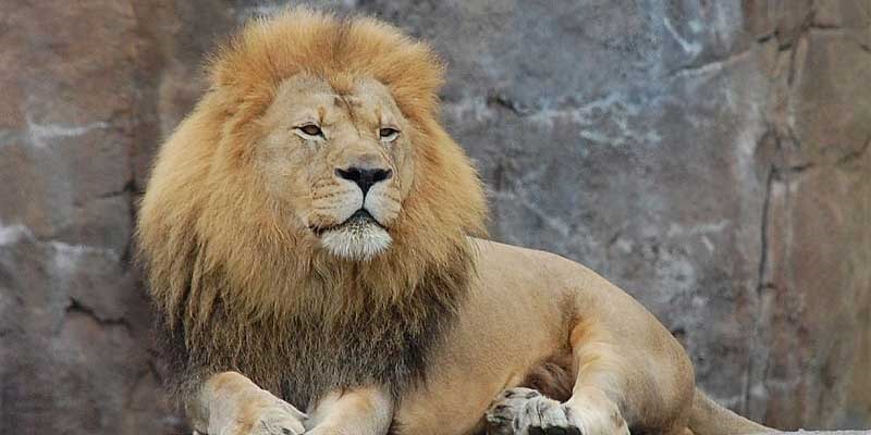 casitodaslasletras19092016