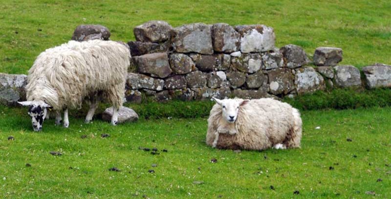 casitodaslasletras22032017