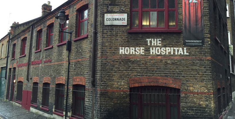 the-horse-hospital the-horse-hospital