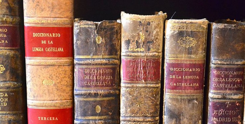 diccionarios lengua castellana diccionarios lengua castellana