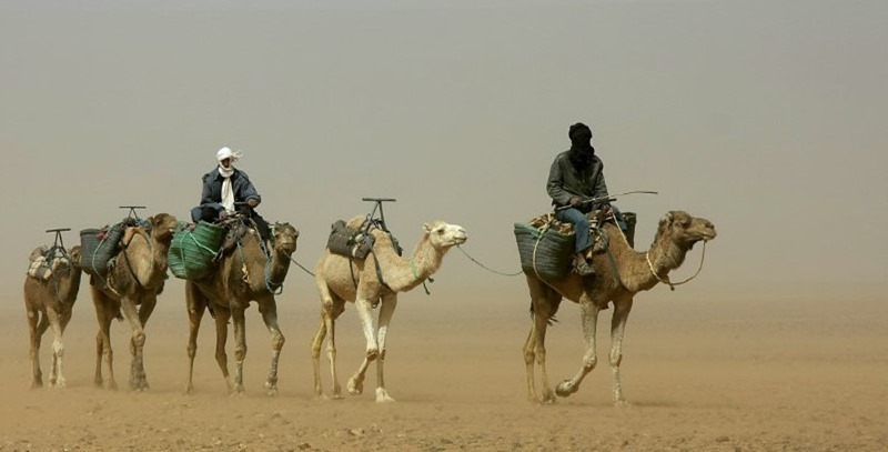 nomadas del desierto nomadas del desierto