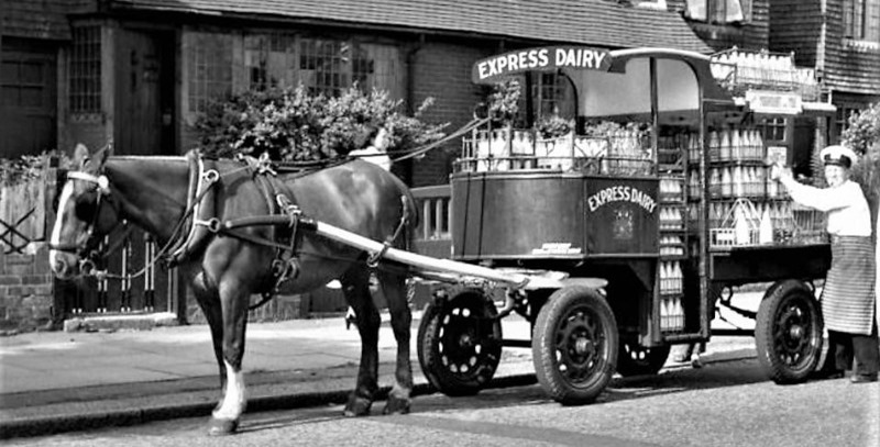 lechero foto historica