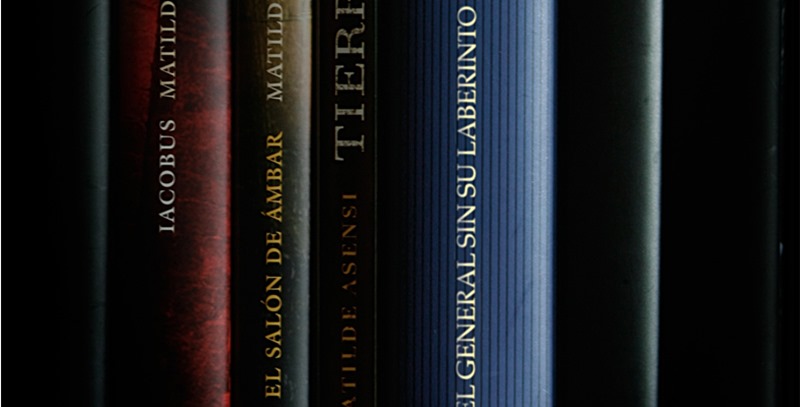 el-general-en-su-laberinto