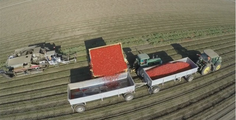 granja-norteamericana