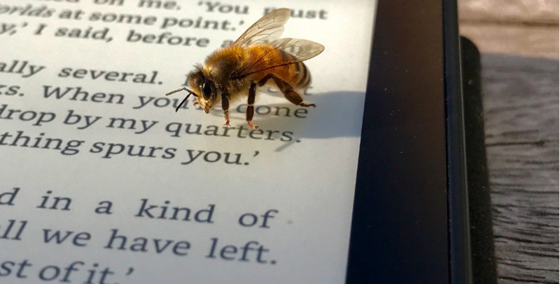 ereader con abeja
